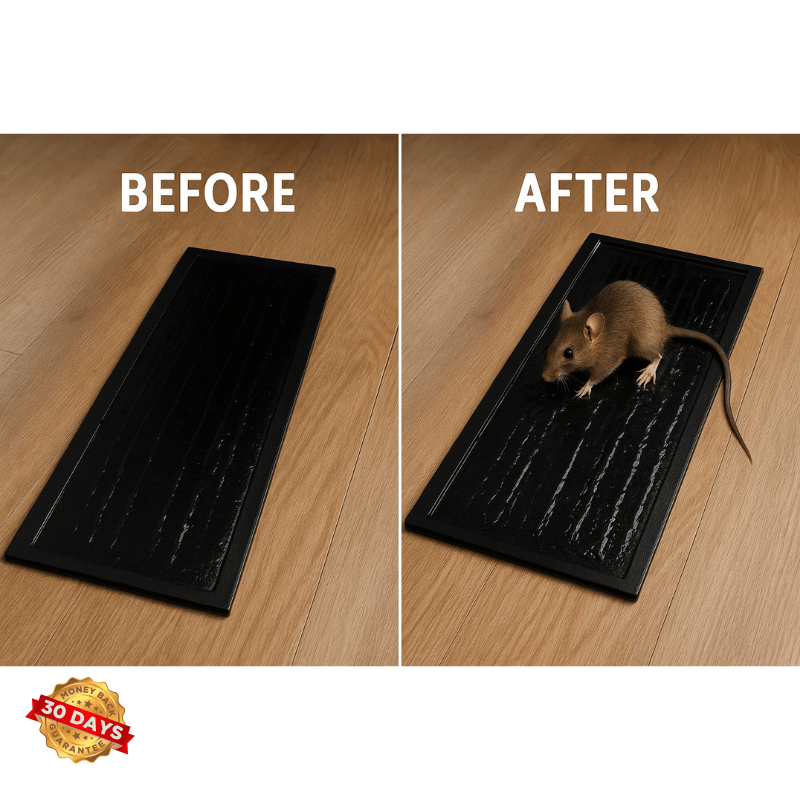 Trampa de alfombra ultra pegajosa para ratones RodentLock™