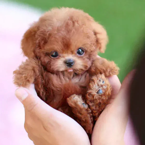 Cachorro de Peluche Robótico Ultra-Realista – ¡El Compañero Más Adorable!